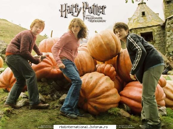 harry potter harry potter6